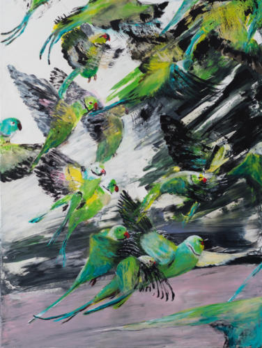 Papageien; 2019