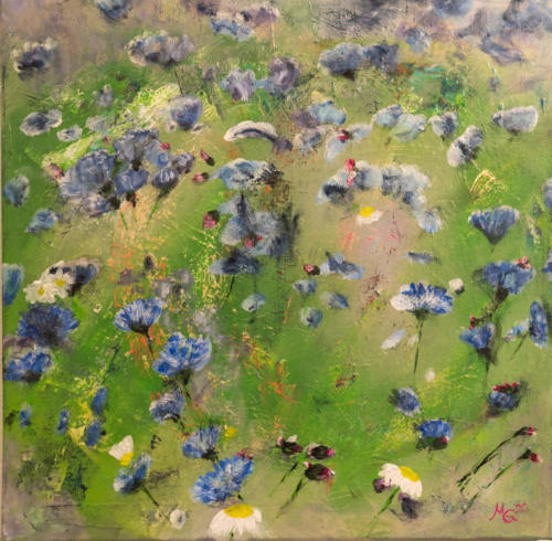 Kornblumen; 2020