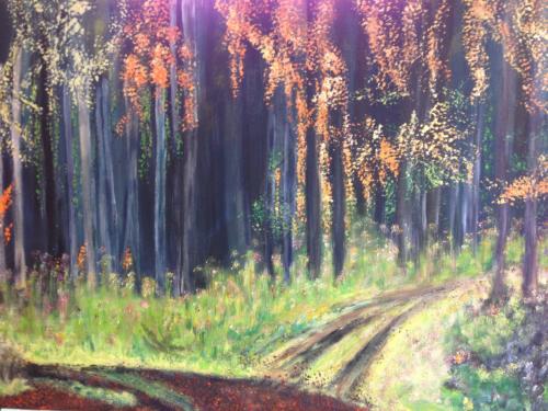Herbstwald; 2019